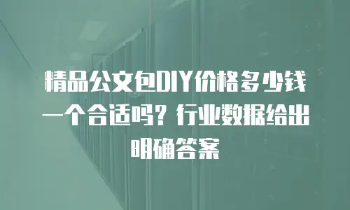精品公文包DIY价格多少钱一个合适吗？行业数据给出明确答案
