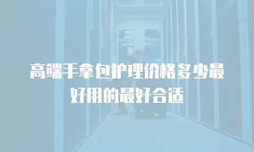 高端手拿包护理价格多少最好用的最好合适