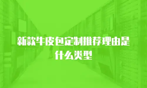 新款牛皮包定制推荐理由是什么类型