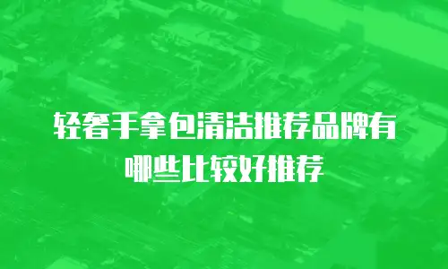 轻奢手拿包清洁推荐品牌有哪些比较好推荐