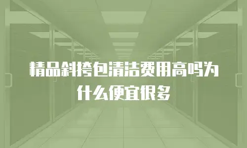 精品斜挎包清洁费用高吗为什么便宜很多