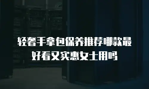 轻奢手拿包保养推荐哪款最好看又实惠女士用吗