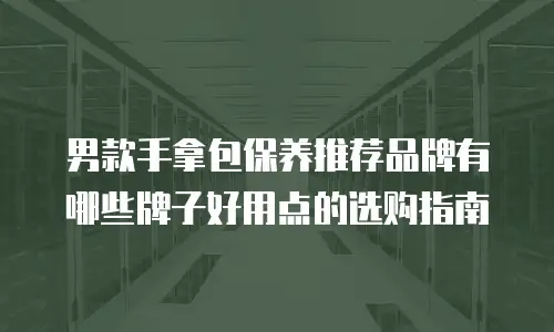 男款手拿包保养推荐品牌有哪些牌子好用点的选购指南