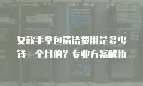 女款手拿包清洁费用是多少钱一个月的？专业方案解析