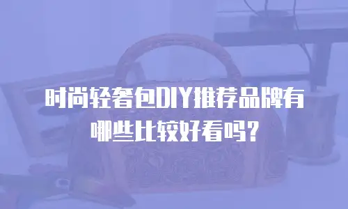 时尚轻奢包DIY推荐品牌有哪些比较好看吗？