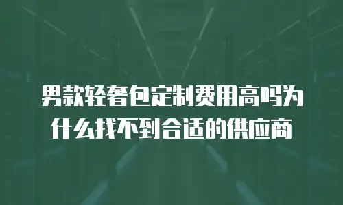 男款轻奢包定制费用高吗为什么找不到合适的供应商