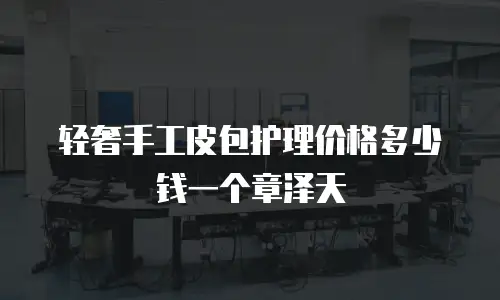轻奢手工皮包护理价格多少钱一个章泽天