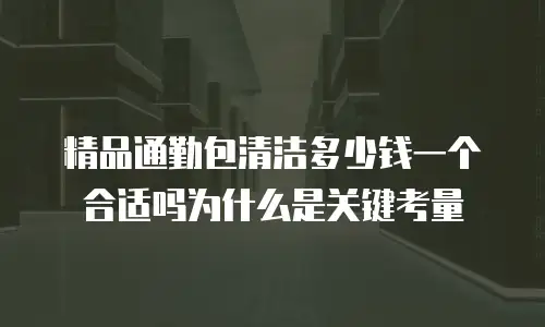 精品通勤包清洁多少钱一个合适吗为什么是关键考量