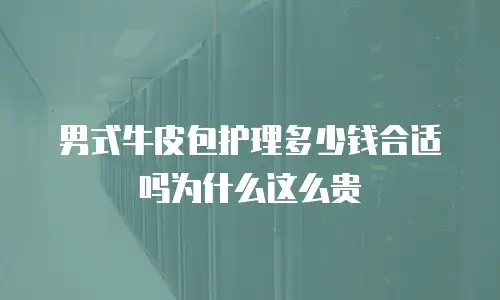 男式牛皮包护理多少钱合适吗为什么这么贵