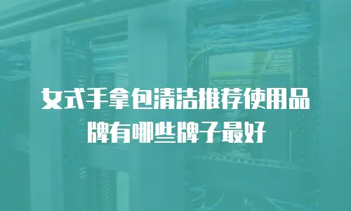 女式手拿包清洁推荐使用品牌有哪些牌子最好