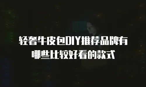 轻奢牛皮包DIY推荐品牌有哪些比较好看的款式