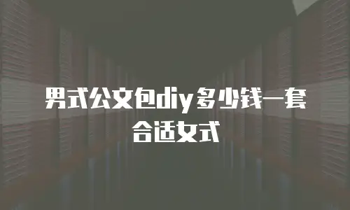 男式公文包diy多少钱一套合适女式