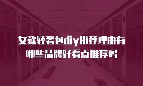女款轻奢包diy推荐理由有哪些品牌好看点推荐吗