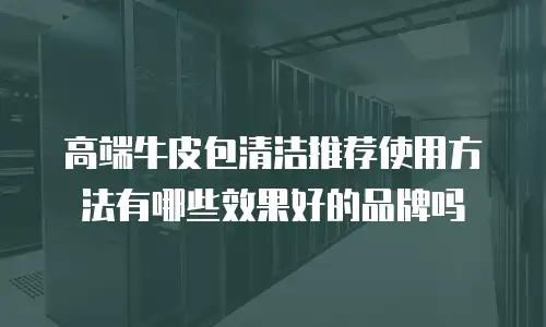 高端牛皮包清洁推荐使用方法有哪些效果好的品牌吗