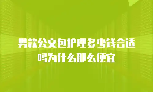 男款公文包护理多少钱合适吗为什么那么便宜