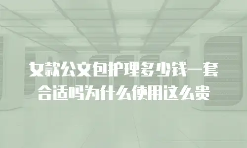 女款公文包护理多少钱一套合适吗为什么使用这么贵