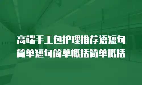 高端手工包护理推荐语短句简单短句简单概括简单概括