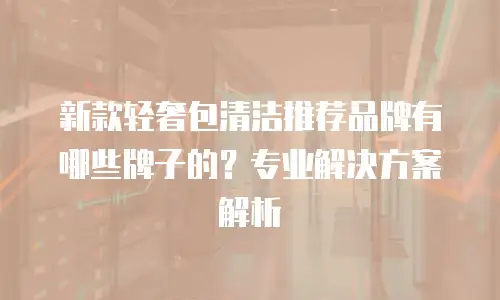 新款轻奢包清洁推荐品牌有哪些牌子的？专业解决方案解析