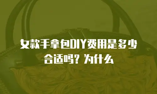 女款手拿包DIY费用是多少合适吗？为什么