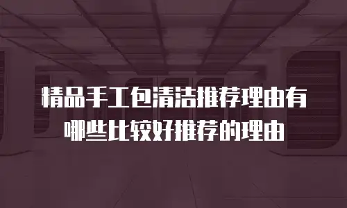 精品手工包清洁推荐理由有哪些比较好推荐的理由
