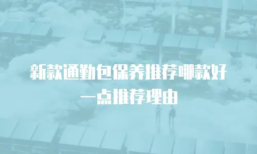 新款通勤包保养推荐哪款好一点推荐理由