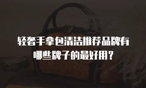 轻奢手拿包清洁推荐品牌有哪些牌子的最好用？