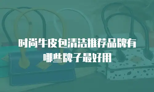 时尚牛皮包清洁推荐品牌有哪些牌子最好用