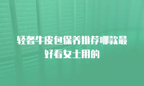 轻奢牛皮包保养推荐哪款最好看女士用的