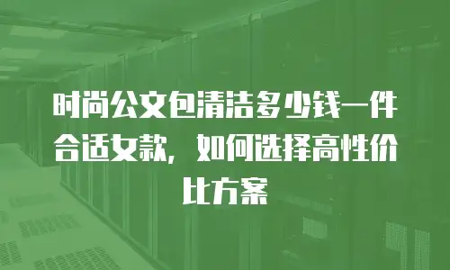 时尚公文包清洁多少钱一件合适女款，如何选择高性价比方案