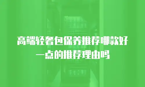 高端轻奢包保养推荐哪款好一点的推荐理由吗