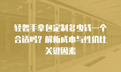 轻奢手拿包定制多少钱一个合适吗？解析成本与性价比关键因素