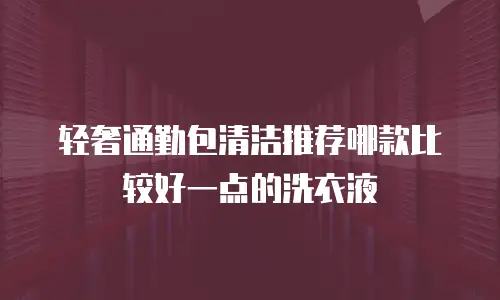 轻奢通勤包清洁推荐哪款比较好一点的洗衣液