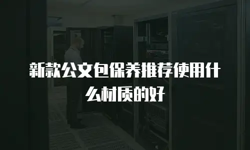 新款公文包保养推荐使用什么材质的好