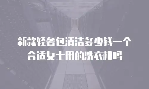新款轻奢包清洁多少钱一个合适女士用的洗衣机吗