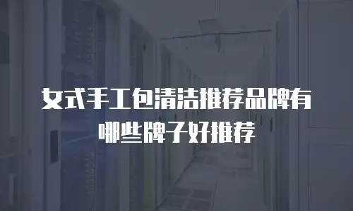女式手工包清洁推荐品牌有哪些牌子好推荐