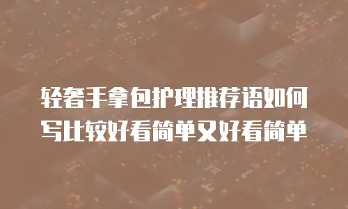 轻奢手拿包护理推荐语如何写比较好看简单又好看简单