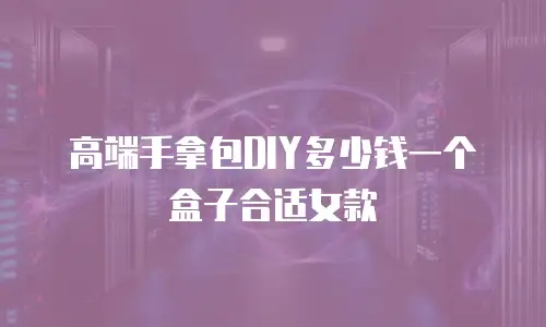 高端手拿包DIY多少钱一个盒子合适女款