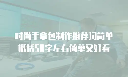 时尚手拿包制作推荐词简单概括50字左右简单又好看