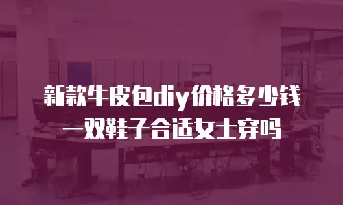 新款牛皮包diy价格多少钱一双鞋子合适女士穿吗