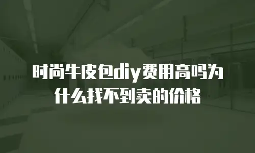 时尚牛皮包diy费用高吗为什么找不到卖的价格