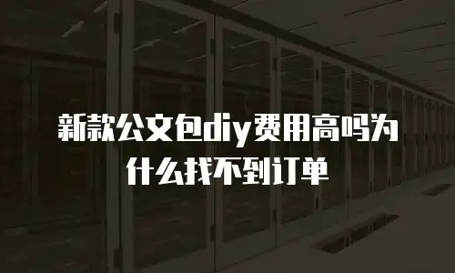 新款公文包diy费用高吗为什么找不到订单