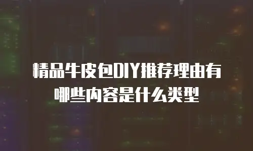 精品牛皮包DIY推荐理由有哪些内容是什么类型