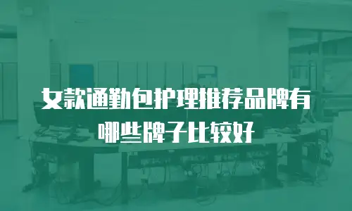 女款通勤包护理推荐品牌有哪些牌子比较好