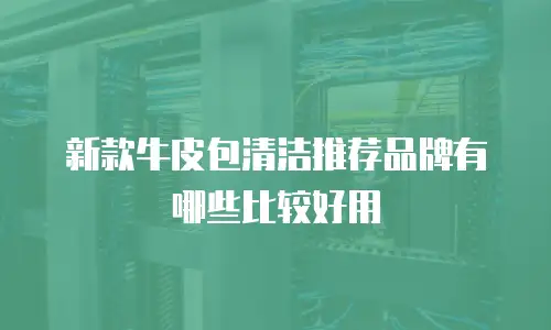 新款牛皮包清洁推荐品牌有哪些比较好用