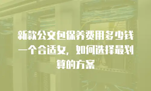 新款公文包保养费用多少钱一个合适女，如何选择最划算的方案