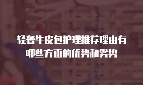 轻奢牛皮包护理推荐理由有哪些方面的优势和劣势