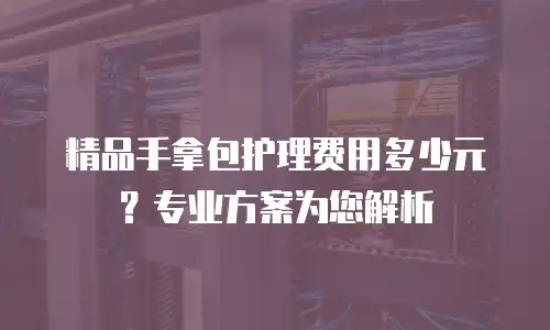 精品手拿包护理费用多少元？专业方案为您解析