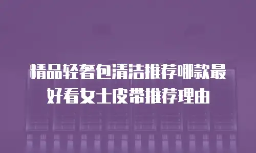 精品轻奢包清洁推荐哪款最好看女士皮带推荐理由