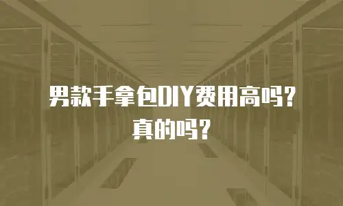 男款手拿包DIY费用高吗？真的吗？