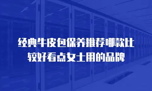 经典牛皮包保养推荐哪款比较好看点女士用的品牌